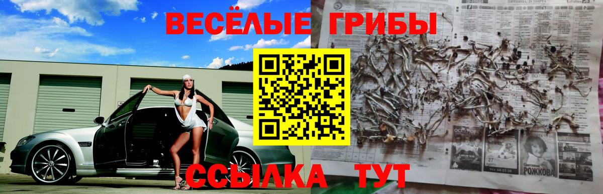 Галлюциногенные грибы MAGIC MUSHROOMS Борзя